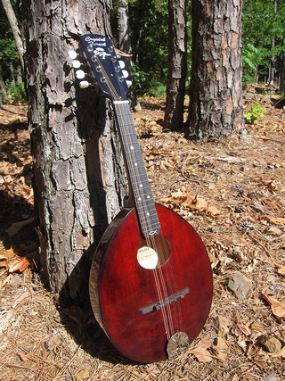 Crystal Forest AN mandolin