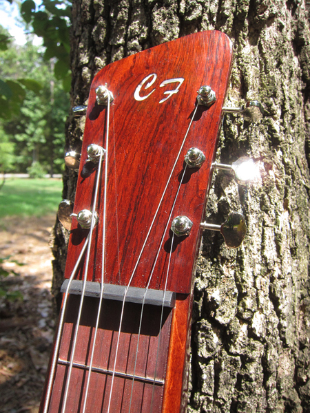 Lap Steel Guitar tuner detail