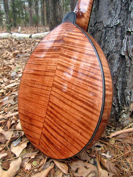2014 Crystal Forest Mandolin #0114-20