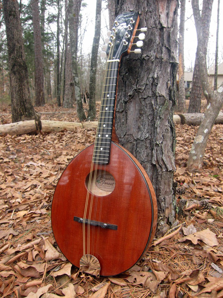2014 Crystal Forest Mandolin #0114-20