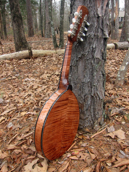 2014 Crystal Forest Mandolin #0114-20