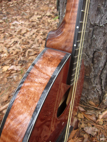 2014 Crystal Forest Mandolin #0114-20