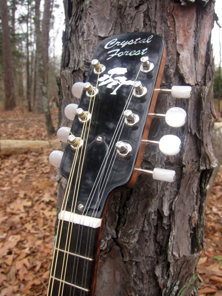 2014 Crystal Forest Mandolin #0114-20