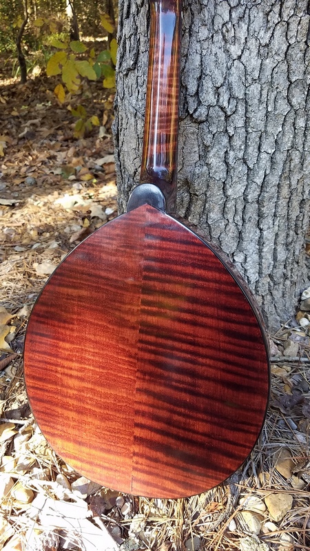 Crystal Forest Mandolin