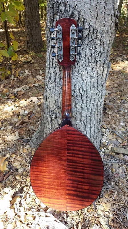 Crystal Forest Mandolin