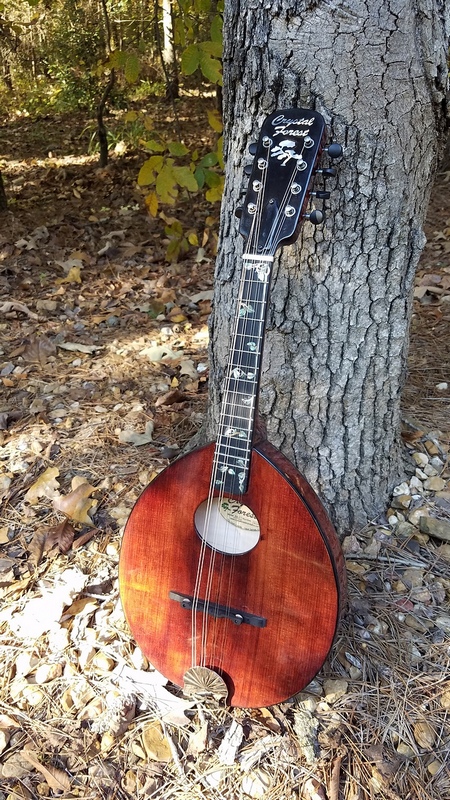 Crystal Forest Mandolin