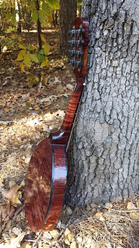 Crystal Forest Mandolin