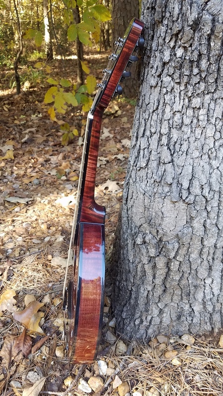 Crystal Forest Mandolin