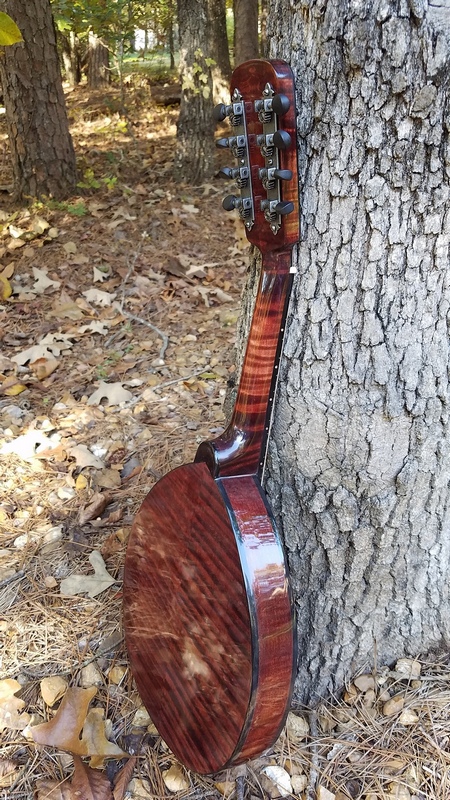 Crystal Forest Mandolin
