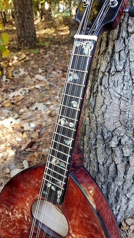 Crystal Forest Mandolin