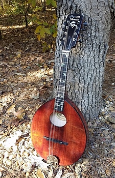 Crystal Forest mandolin