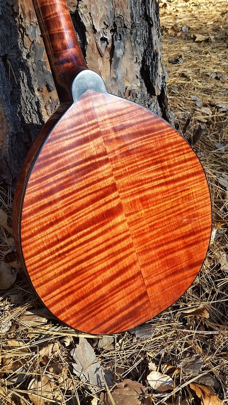 2014 Crystal Forest Mandolin