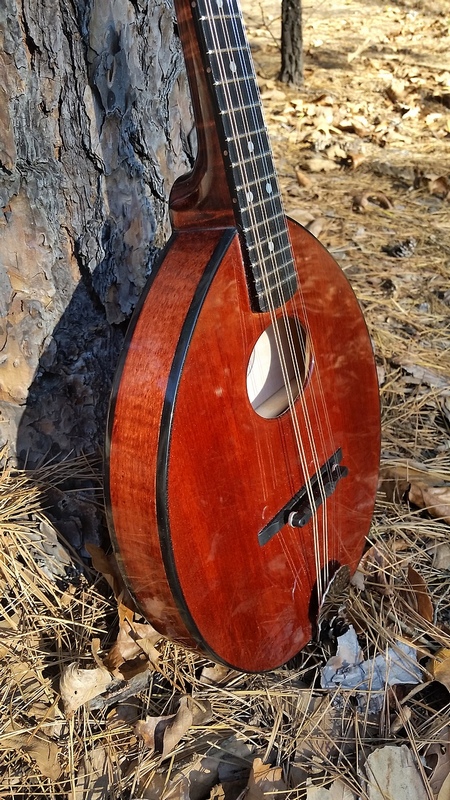 2014 Crystal Forest Mandolin