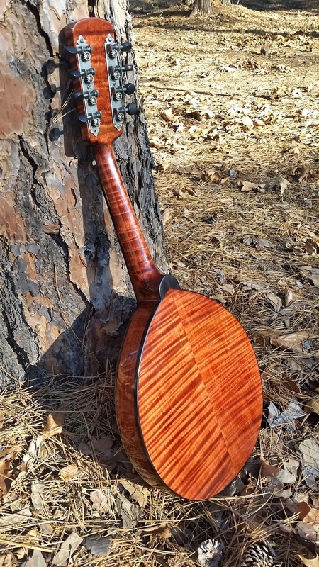 2014 Crystal Forest Mandolin