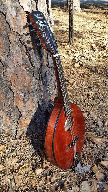 2014 Crystal Forest Mandolin