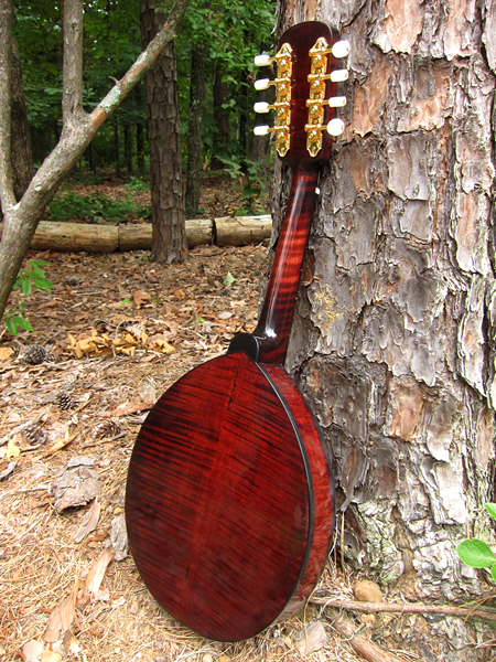 2013 Crystal Forest Mandolin #0701-17