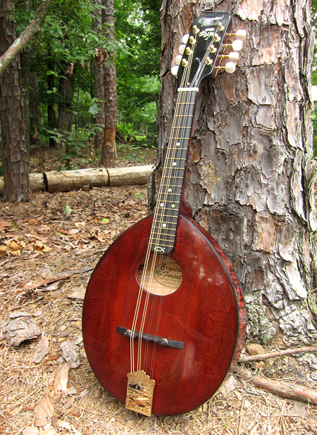 2013 Crystal Forest Mandolin #0701-17