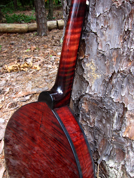 2013 Crystal Forest Mandolin #0701-17