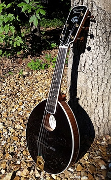 Crystal Forest Gypsy Jazz mandolin