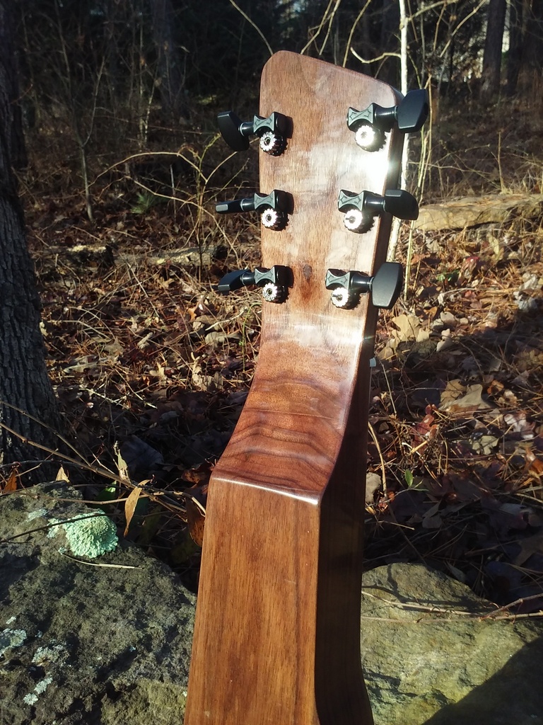 Crystal Forest Lap Steel Guitar
