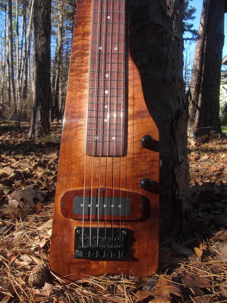 Crystal Forest Lap Steel Guitar