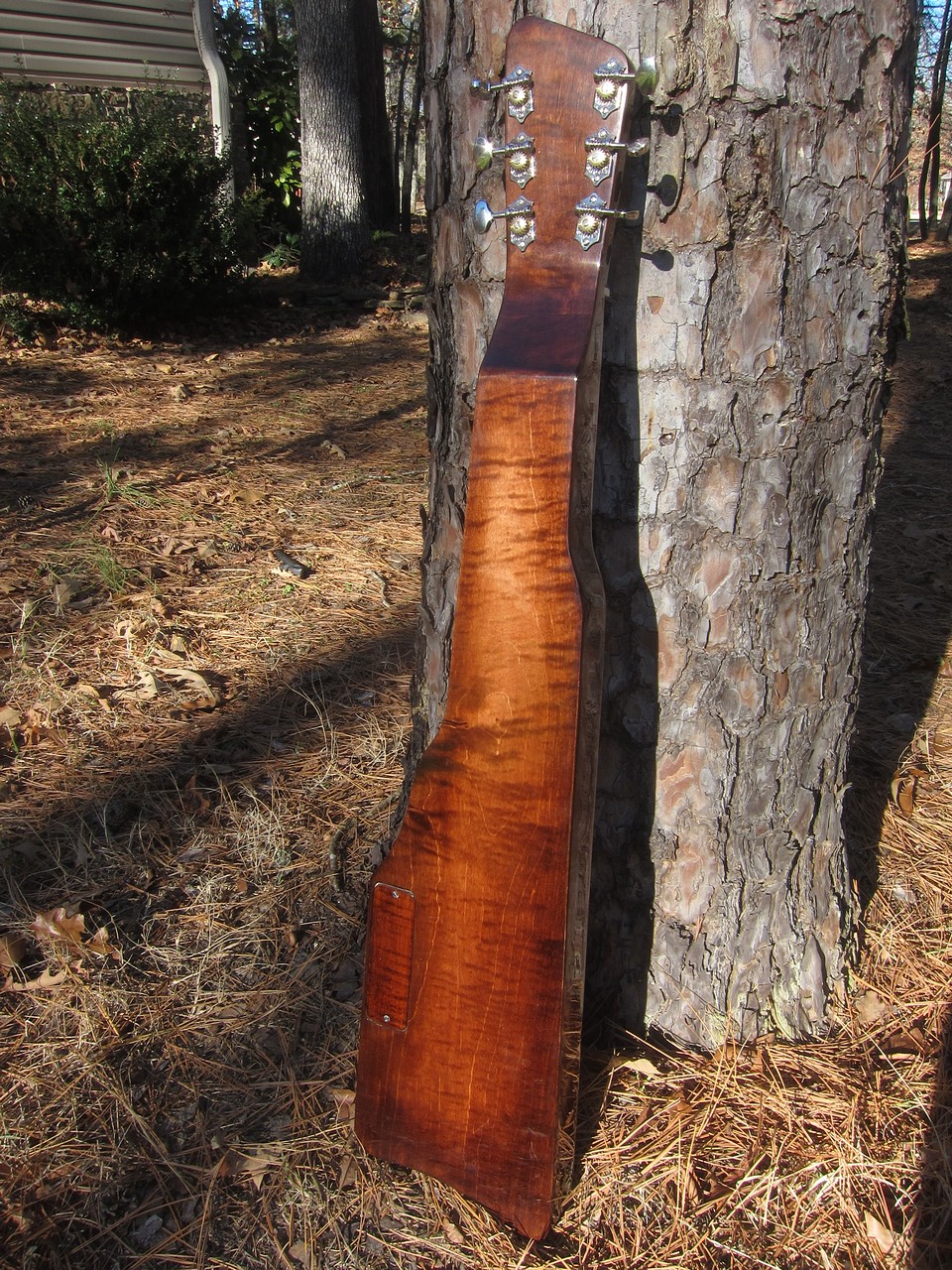 Crystal Forest Lap Steel Guitar