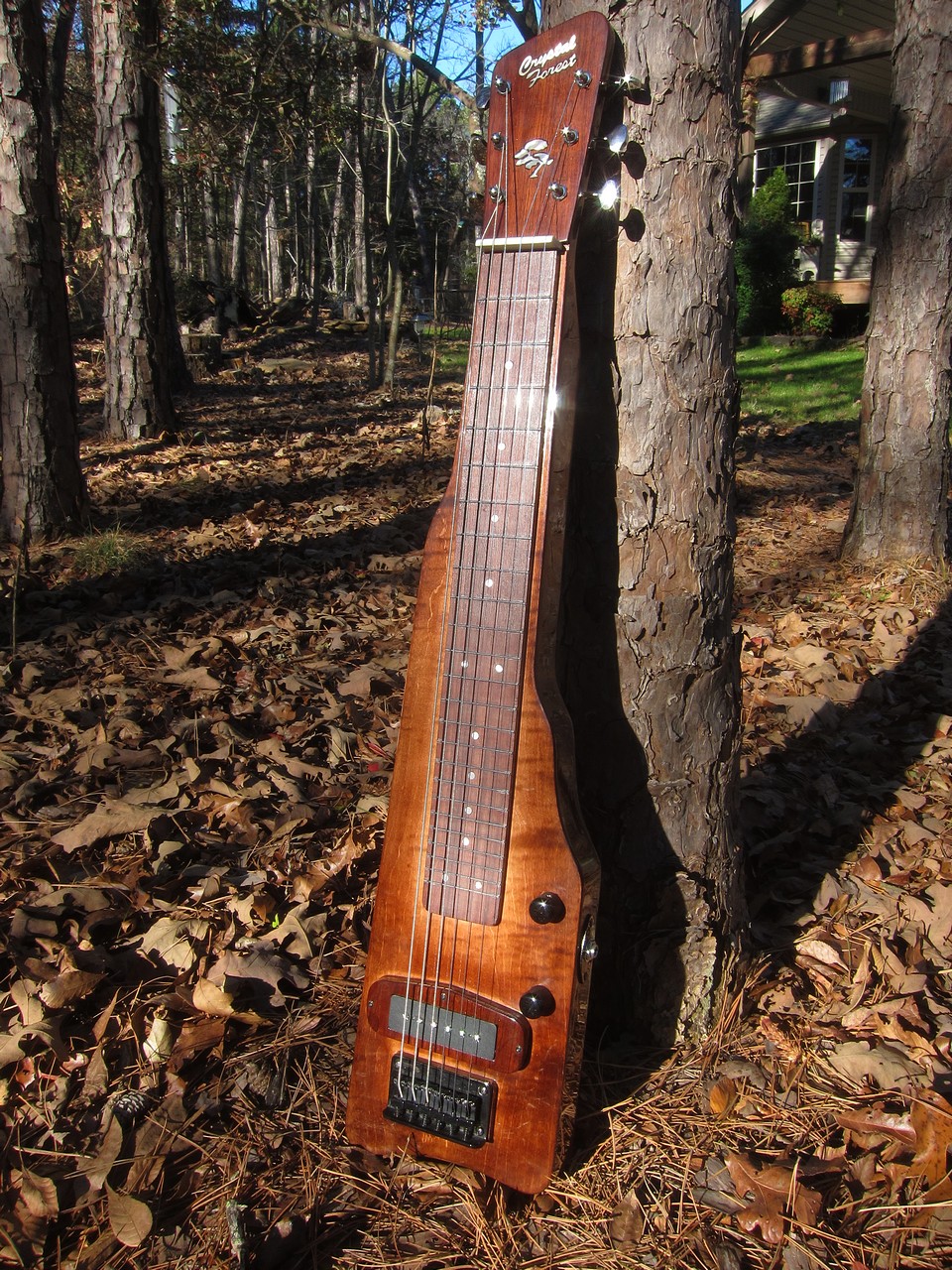 Crystal Forest Lap Steel Guitar