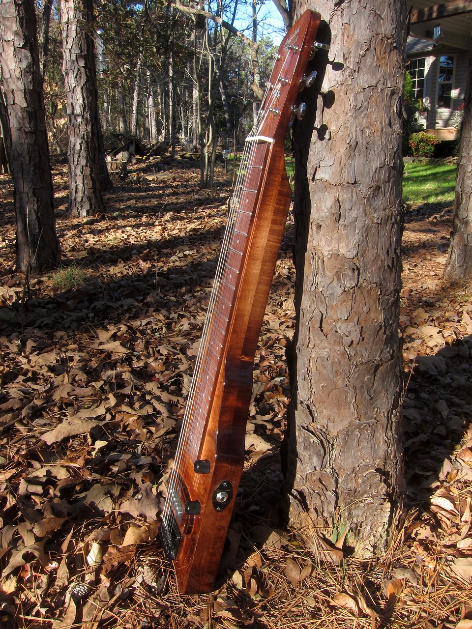 Crystal Forest Lap Steel Guitar