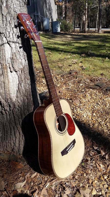 Crystal Forest Baby Dreadnought Guitar