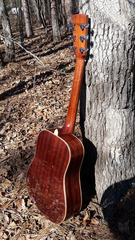 Crystal Forest Baby Dreadnought Guitar