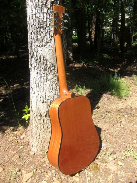 Crystal Forest Baby Dreadnought Guitar