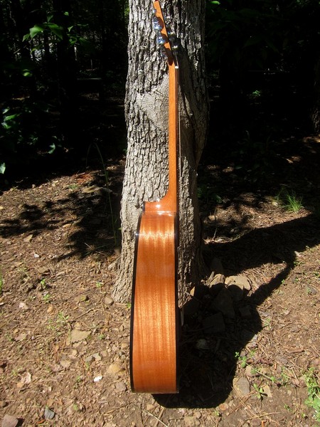 Crystal Forest Baby Dreadnought Guitar