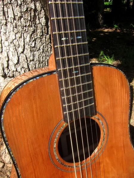 Crystal Forest Baby Dreadnought Guitar