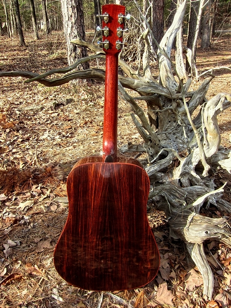 Crystal Forest Steel String Acoustic Guitar