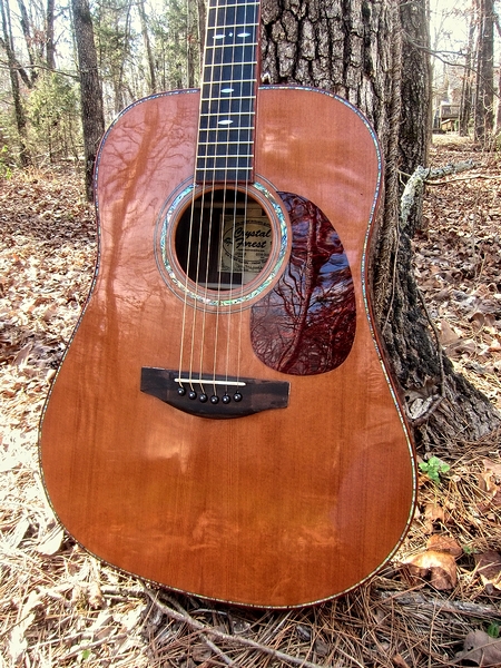Crystal Forest Steel String Acoustic Guitar
