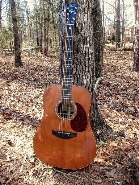 Crystal Forest Steel String Acoustic Guitar