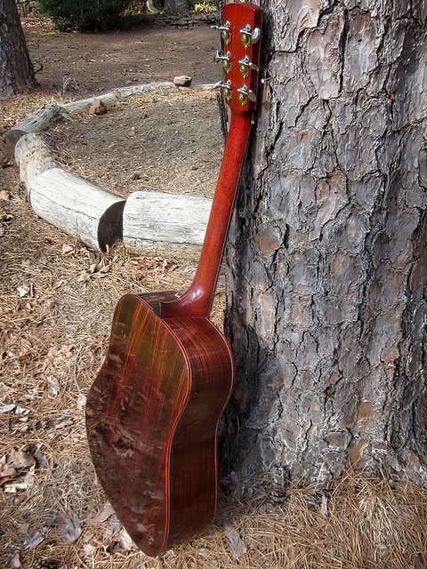 Crystal Forest Steel String Acoustic Guitar