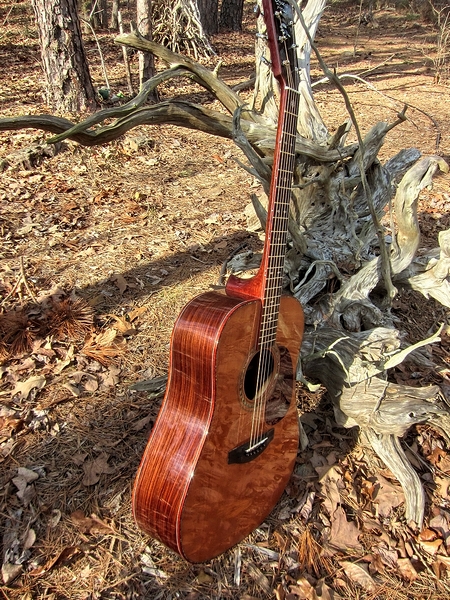 Crystal Forest Steel String Acoustic Guitar