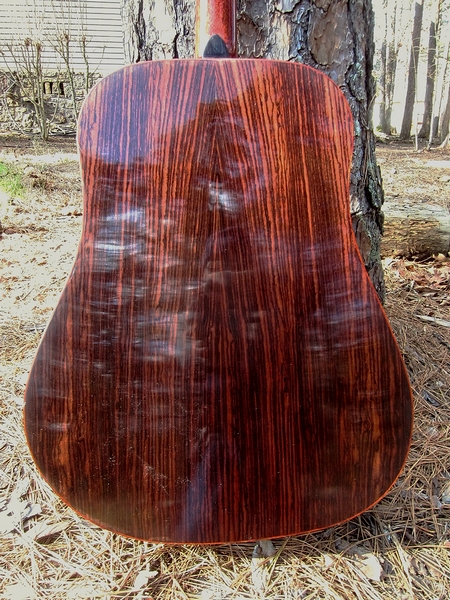 Crystal Forest Steel String Acoustic Guitar