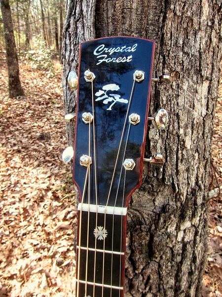 Crystal Forest Steel String Acoustic Guitar