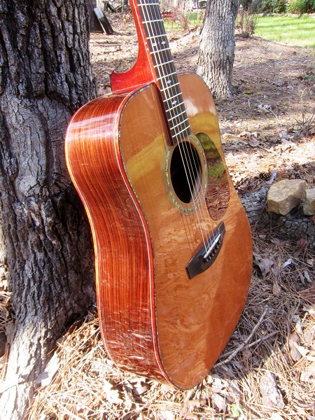 Crystal Forest Steel String Acoustic Guitar