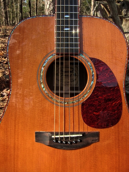 Crystal Forest Steel String Acoustic Guitar