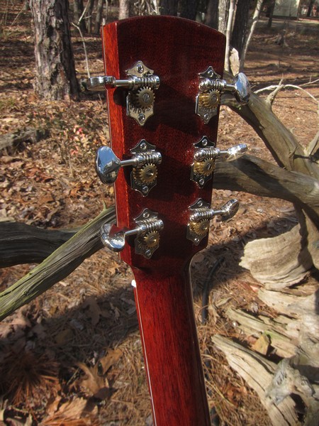Crystal Forest Steel String Acoustic Guitar
