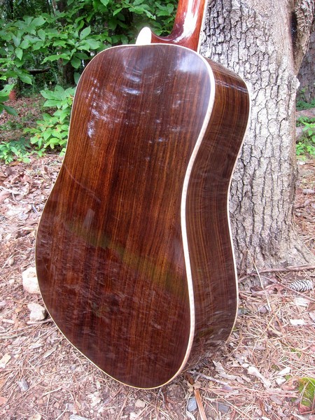 Crystal Forest Steel String Acoustic Guitar