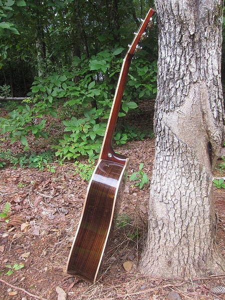 Crystal Forest Steel String Acoustic Guitar