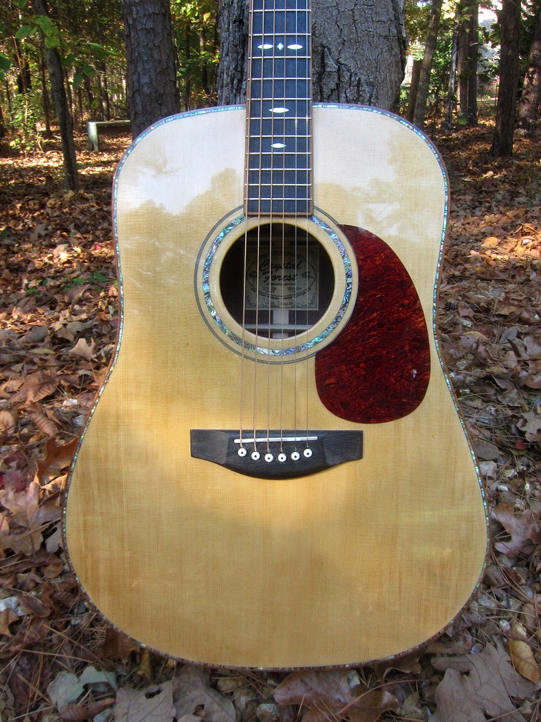 Crystal Forest Steel String Acoustic Guitar