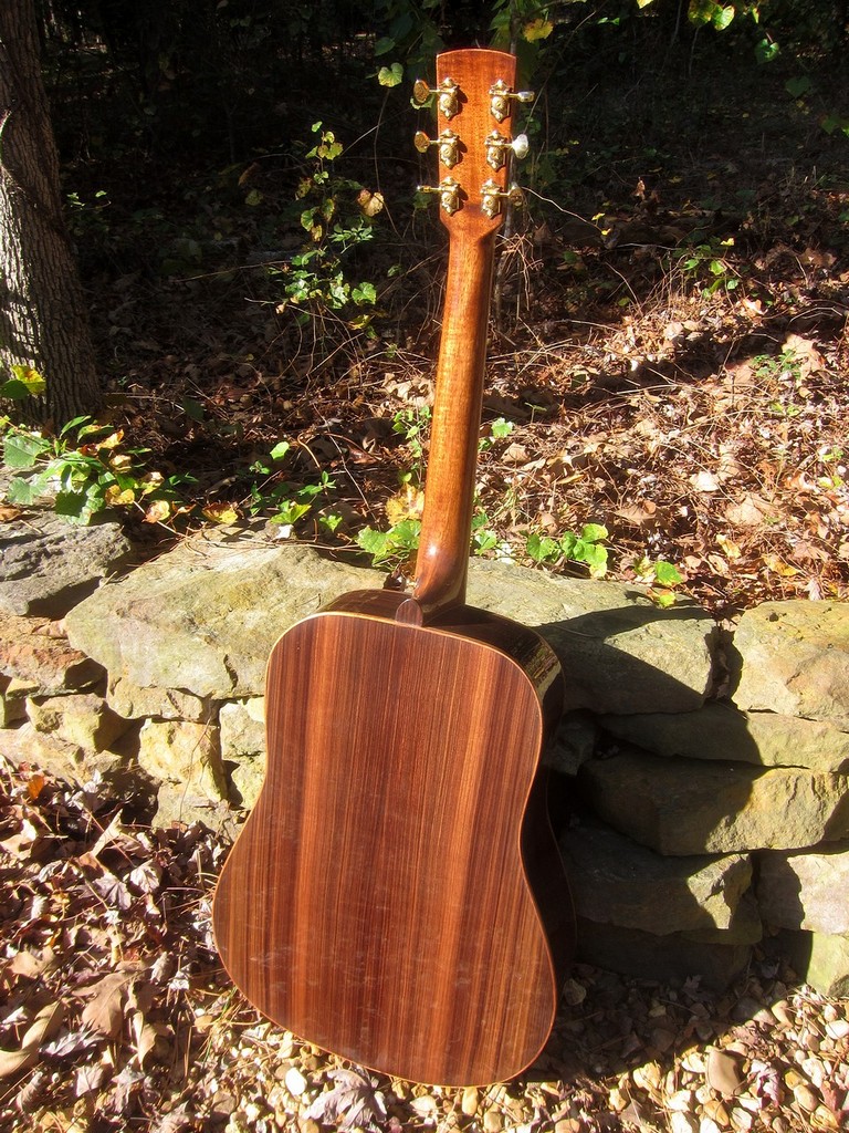 Crystal Forest Steel String Acoustic Guitar