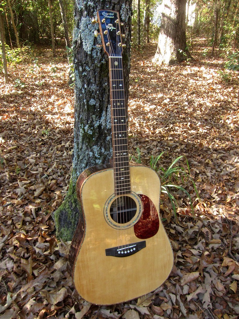 Crystal Forest Steel String Acoustic Guitar