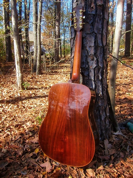 Crystal Forest Steel String Acoustic Guitar