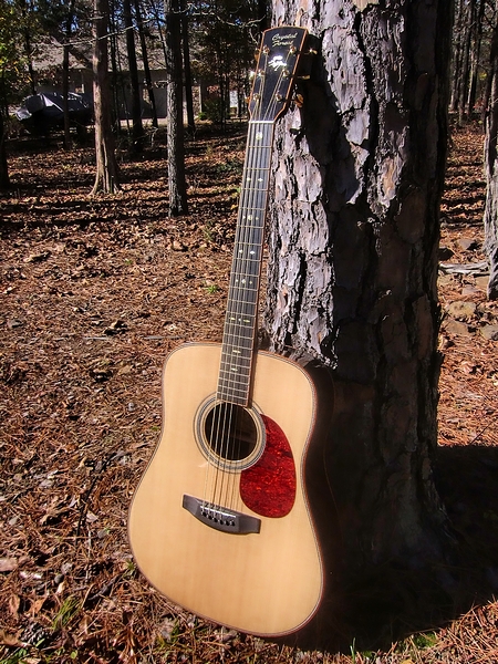 Crystal Forest Steel String Acoustic Guitar